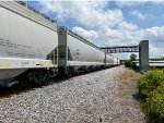 PNWX 92096